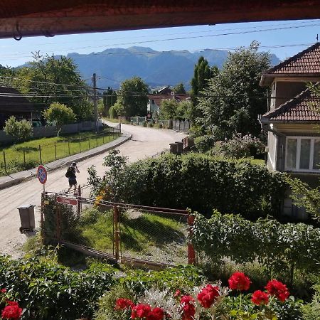 Vila Ovi Hotel Bran  Bagian luar foto