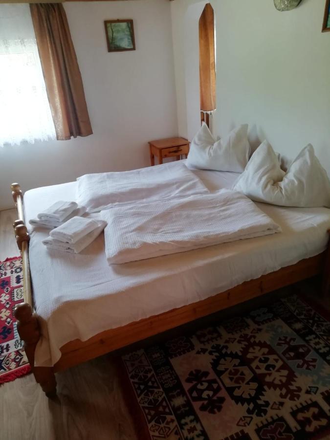 Vila Ovi Hotel Bran  Bagian luar foto