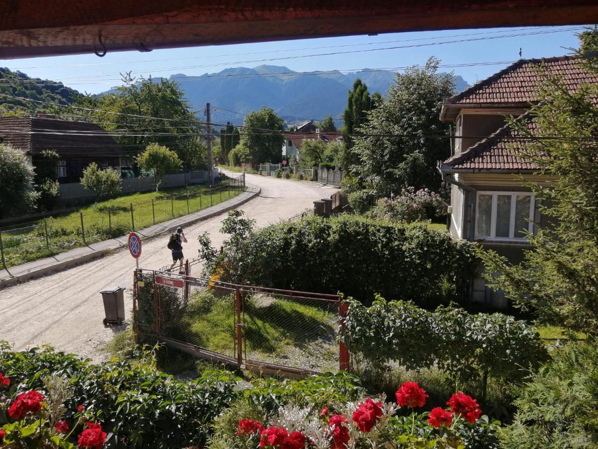 Vila Ovi Hotel Bran  Bagian luar foto